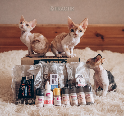 Practik Box для кошенят 025KB427 фото